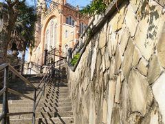 -上海佘山国家森林公园西佘山园