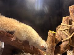 -太平洋海底世界