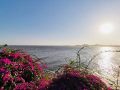 -漳州滨海火山岛自然生态风景区