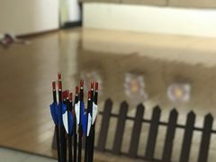 -道顺射箭·团建·骑射(张杨路店)