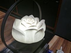 荷花灯-和府捞面(东直门银座店)