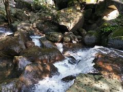 -白云源风景区