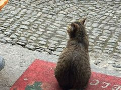 -新月集庭院咖啡馆(老邮局店)