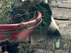 -石家庄市动物园