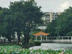 -荔湾湖公园