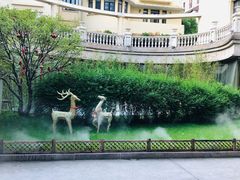 -叶叶菩提·晋福宫