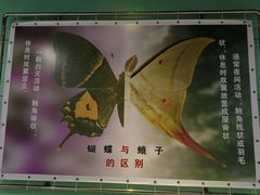 -上海昆虫博物馆