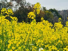 -潘广路(地铁站)