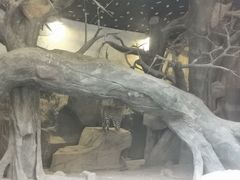 -长鹿旅游休博园