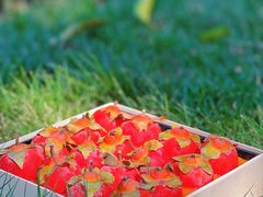 -可丽可丽·生日蛋糕·下午茶(厦门鹭港店)