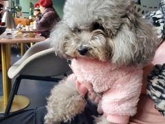-简象咖啡CAFE ELE JANE(满陇桂雨店)