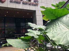 门面-荣粤酒家·融合粤菜