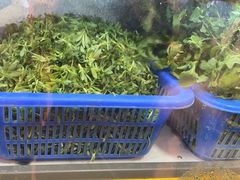 -老味道1992(武当山店)