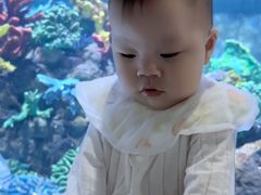 -台州海洋世界