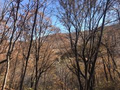 -香炉山国家森林公园