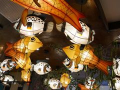 -船歌·鱼水饺青岛菜(金狮广场店)