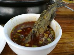 -金海椒罐罐鲢鱼(东方桂苑店)