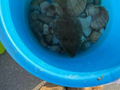 -张氏宽窄巷成都名小吃(华发新天地店)