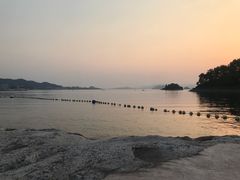 -几荷·恰似故人来(秀水广场店)