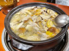 -菌之家·专业纯野生菌火锅·特色炒菌