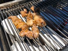 -丹东特色烤肉(南光三部店)