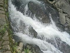 -鹿亭中村