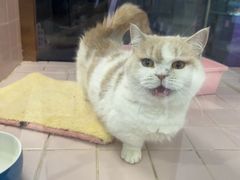 -FAELING PETS美天灵宠物(富力广场店)