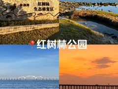 -宝安西湾红树林湿地公园