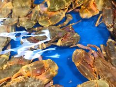 -北京清河镇农副产品交易市场中心