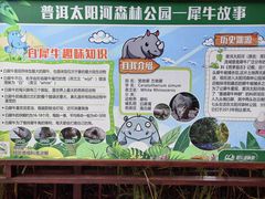 -普洱太阳河森林公园