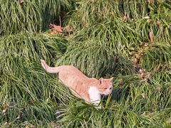 -扬州大运河文化旅游度假区·盆景园