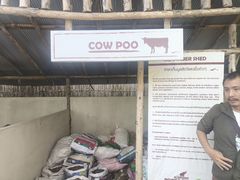 -大象粑粑造纸公园