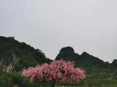 -英西峰林·洞天仙境