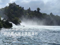 -莱茵瀑布
