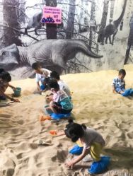 -恐龙探索乐园(磁器口店)