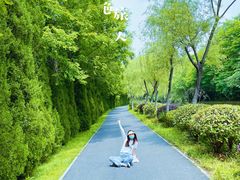 -合肥三国新城遗址公园
