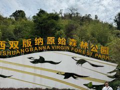 -西双版纳原始森林公园