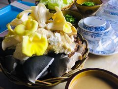 -仙蘑洞