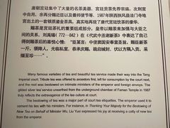 -中国茶叶博物馆(双峰馆区)