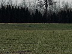 -汉长安城未央宫国家考古遗址公园