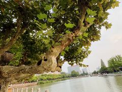 -南通濠河风景名胜区