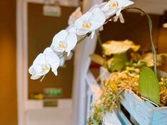 -北平花园·MUA摩造汉堡·北平咖啡(南锣鼓巷胡同店)