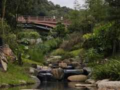 -云溪植物园