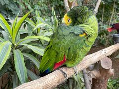 -南宫五洲植物乐园