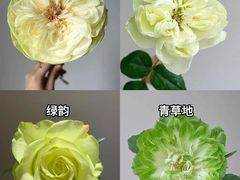 -亭亭鲜花店(中山北路店)