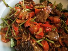 鲜切小炒黄牛肉-雀蓝川菜(奥体广场店)