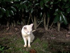 -崇明东平国家森林公园烧烤房车露营地