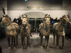 -秦始皇帝陵博物院-丽山园
