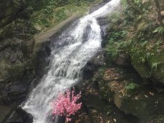 -藏龙百瀑风景区