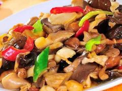 红蘑炒里脊-Local泰莲庭(虹鳟鱼店)